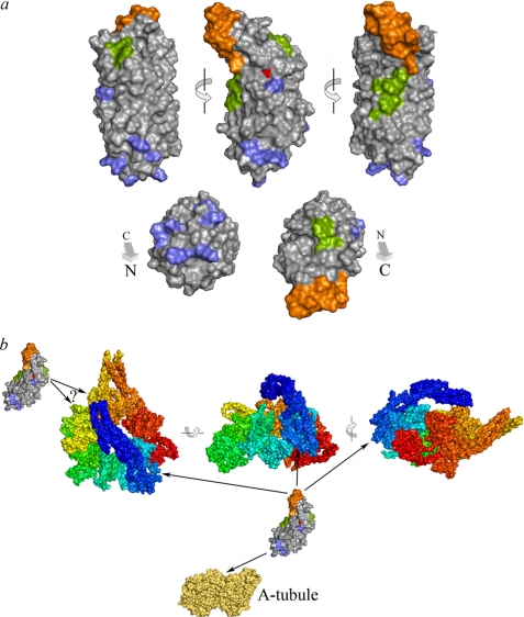 FIGURE 11.