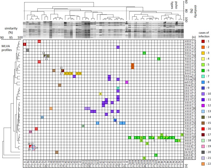 FIG 2