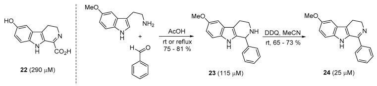 Scheme 4