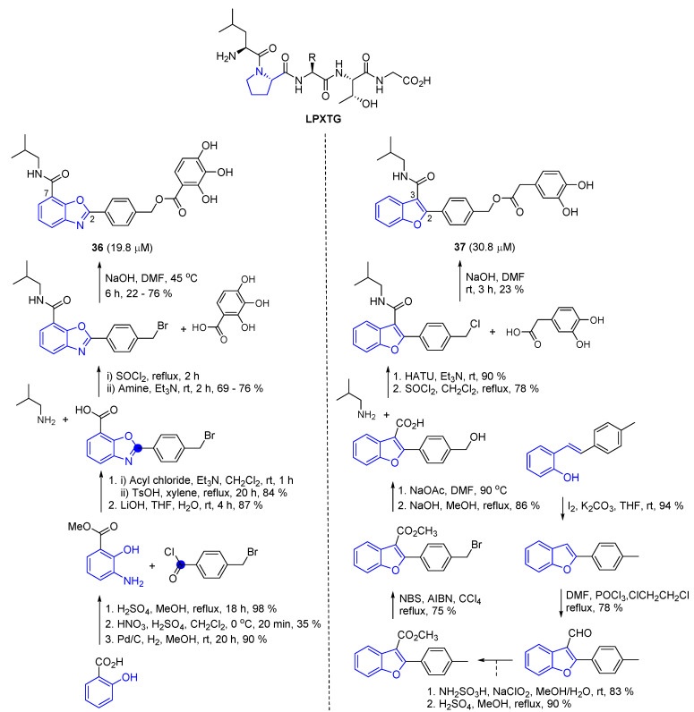 Scheme 8