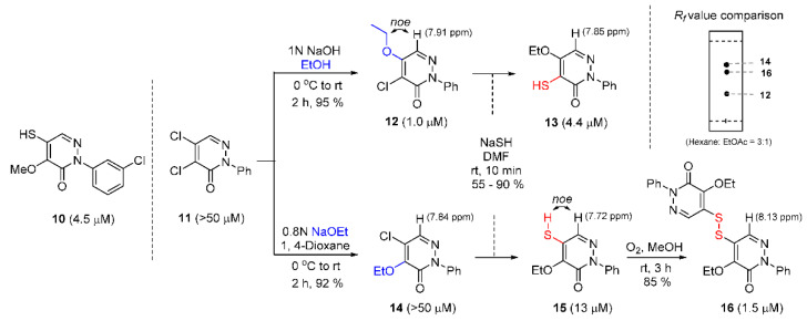 Scheme 2