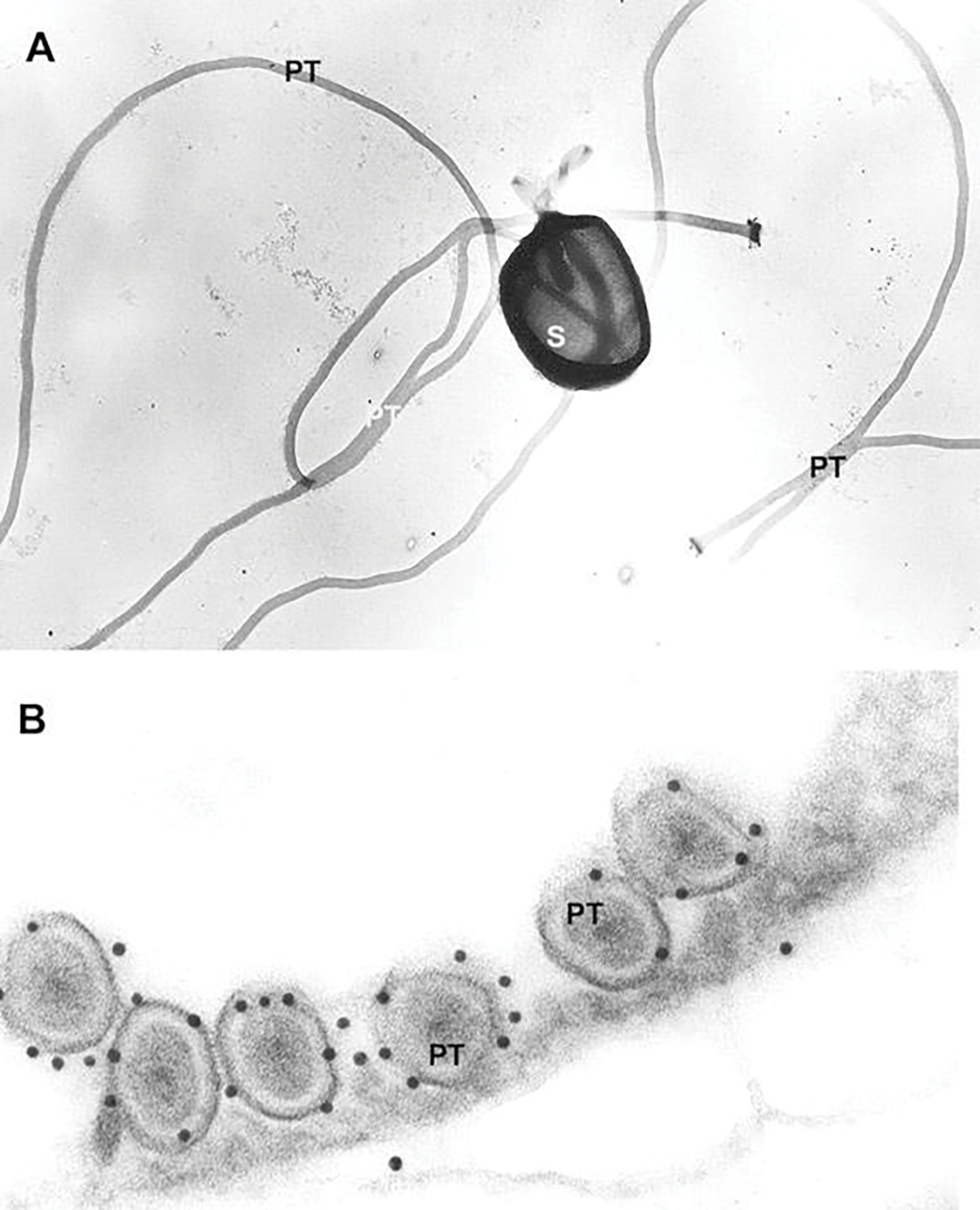 Fig. 8.10