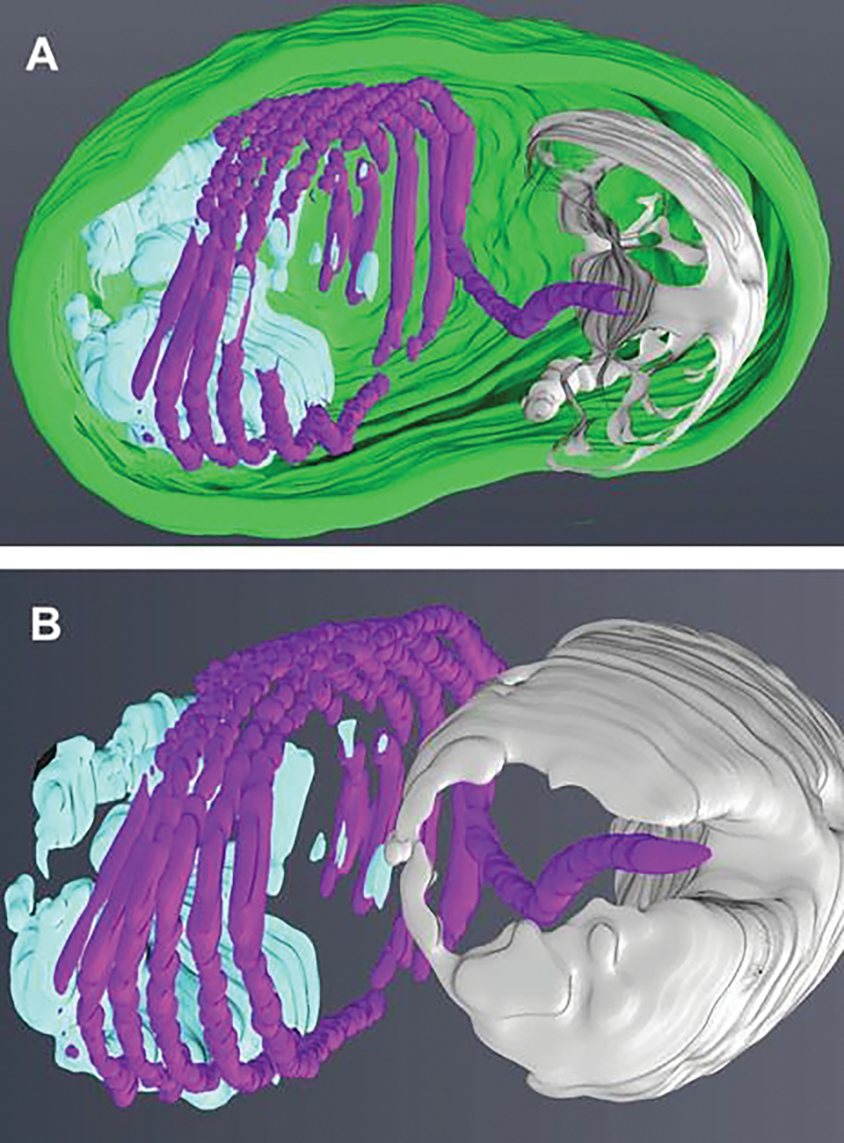 Fig. 8.6