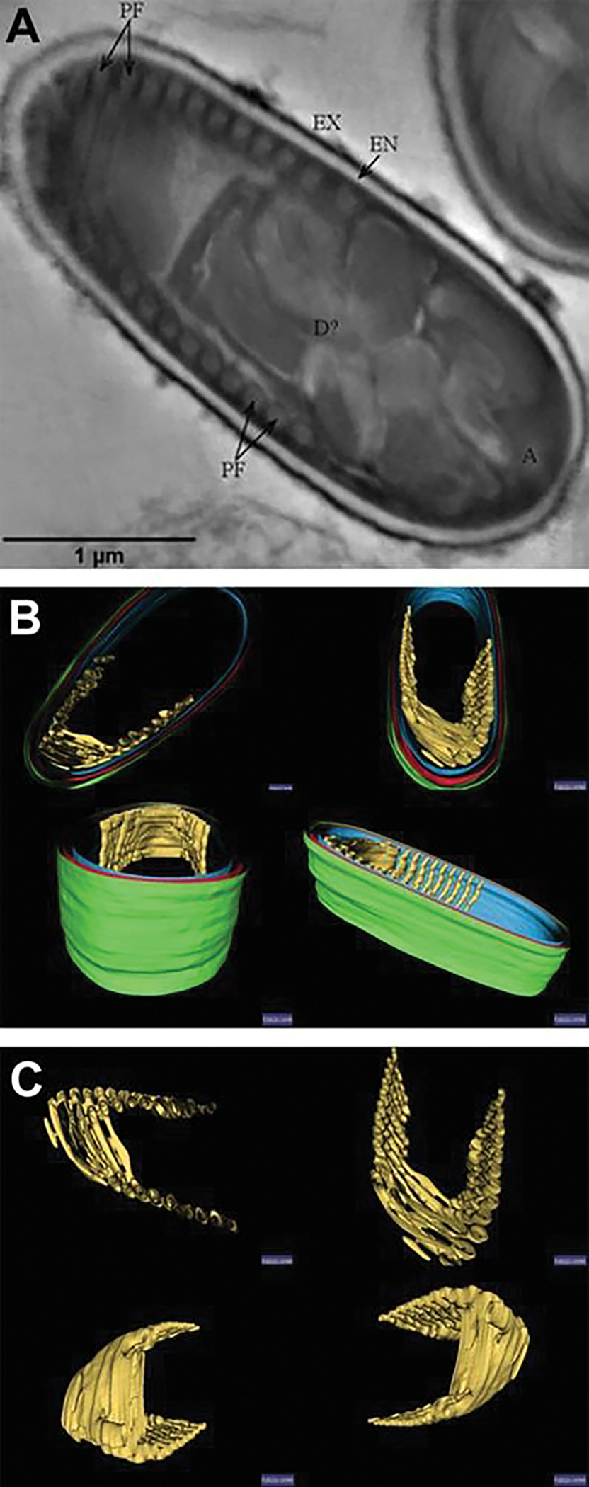 Fig. 8.3