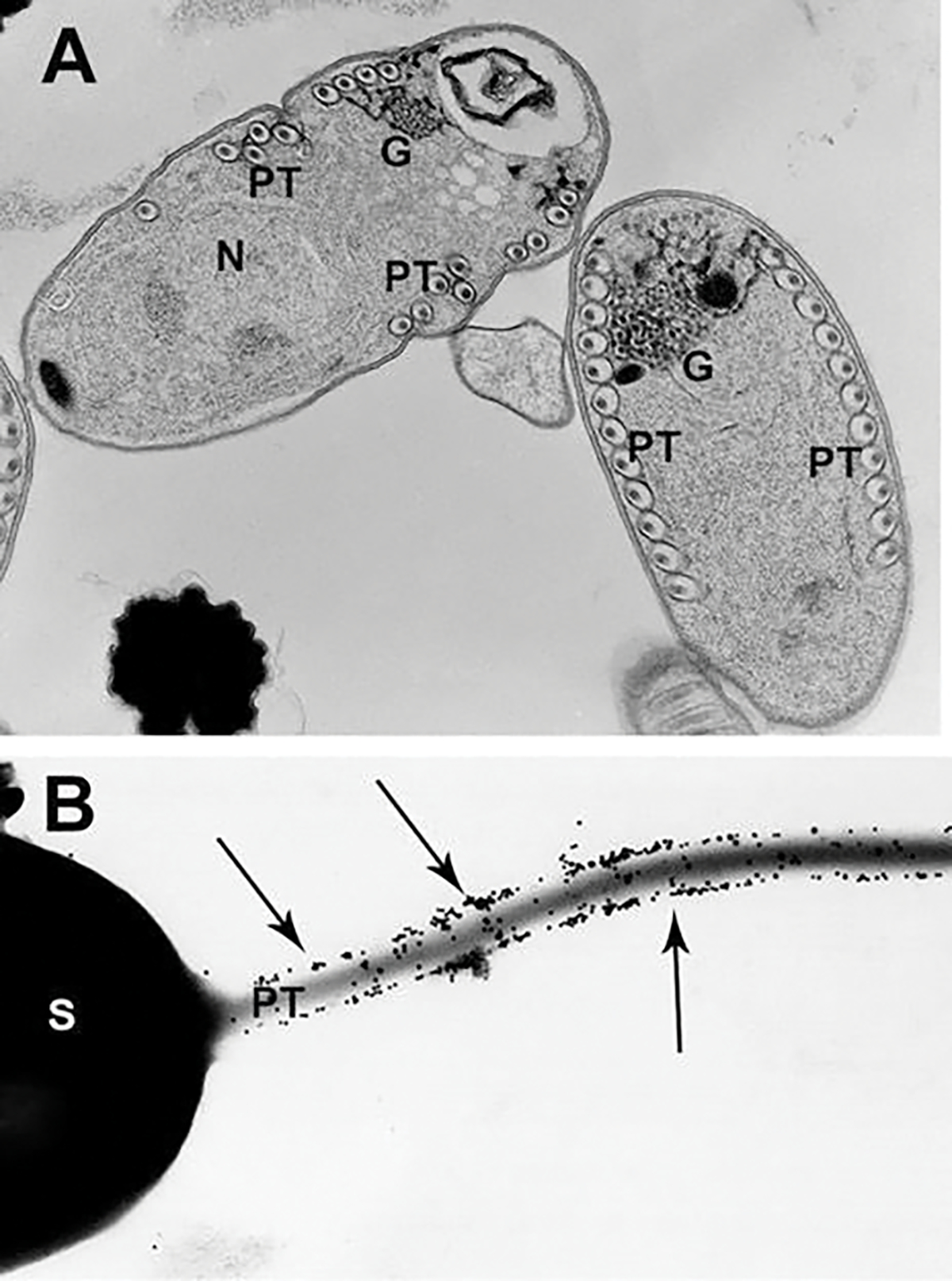 Fig. 8.7