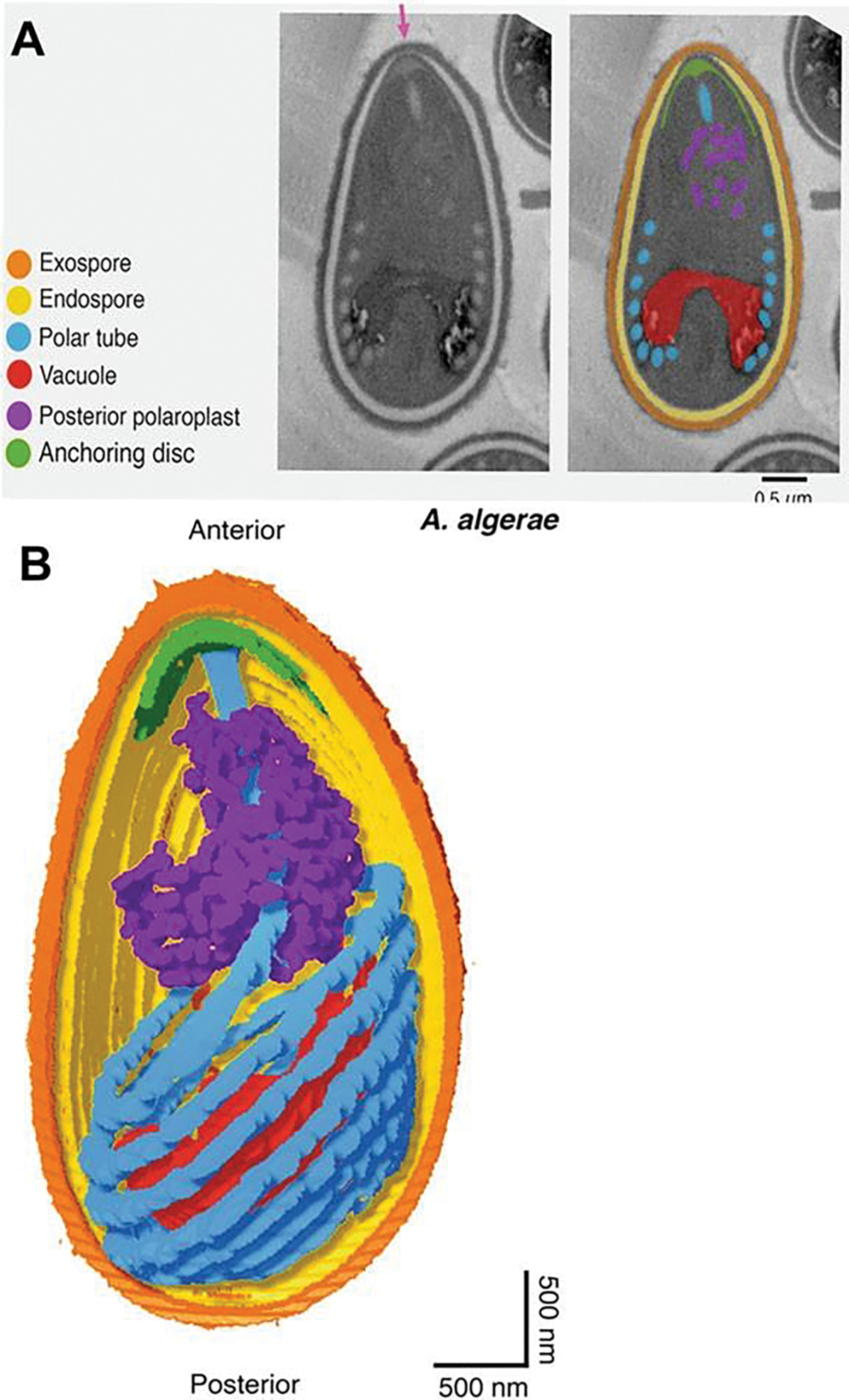 Fig. 8.4