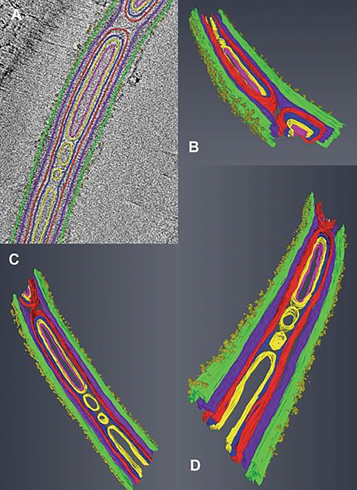 Fig. 8.9