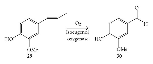 Scheme 11