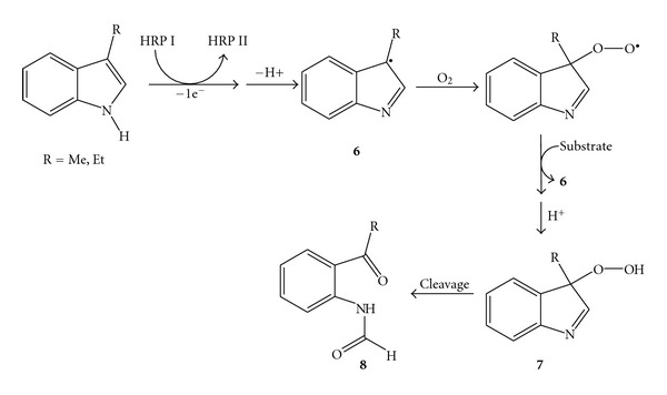 Scheme 4