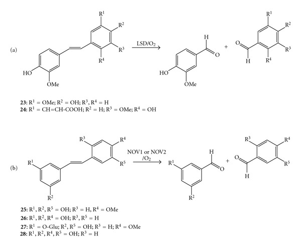 Scheme 10