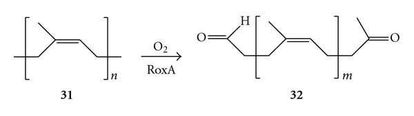 Scheme 12