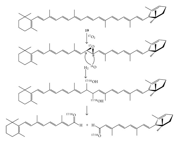 Scheme 8