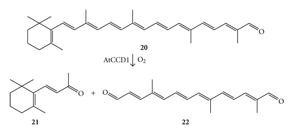 Scheme 9