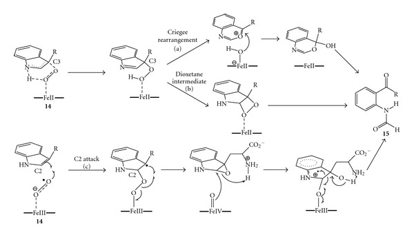 Scheme 6