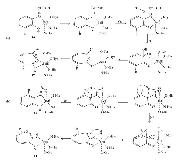 Scheme 7