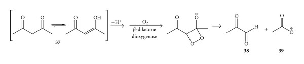 Scheme 14