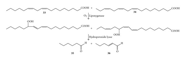 Scheme 13