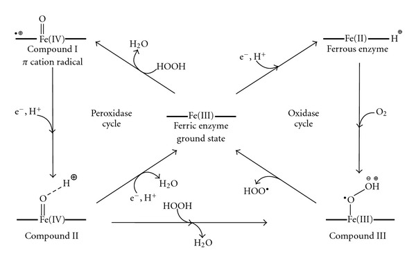 Scheme 1