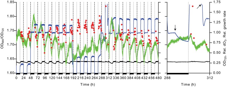 Fig 5