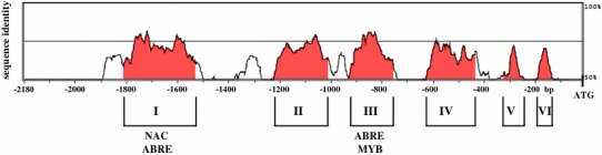 Fig. 9