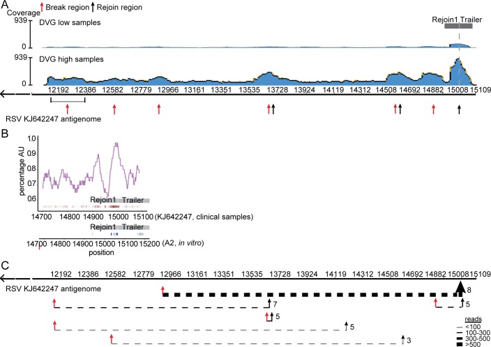 Fig 6