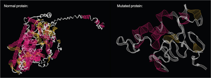 FIGURE 3