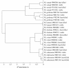 FIG. 2.