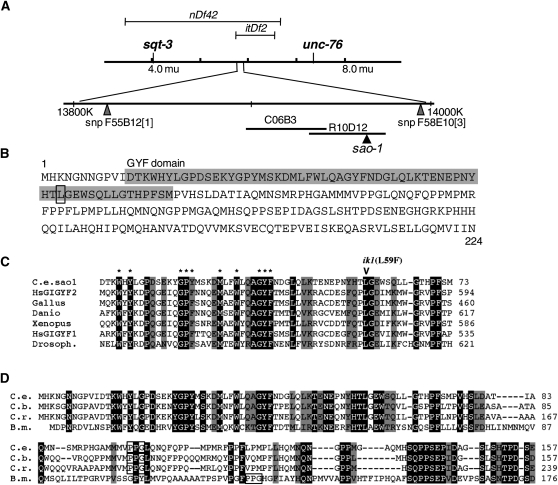 Figure 2 