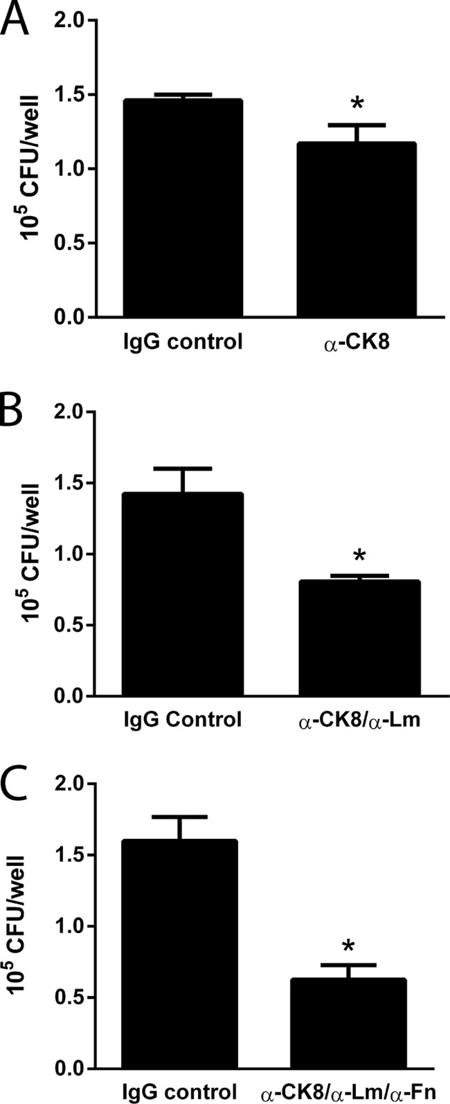 FIG 5