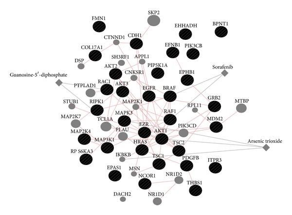 Figure 6