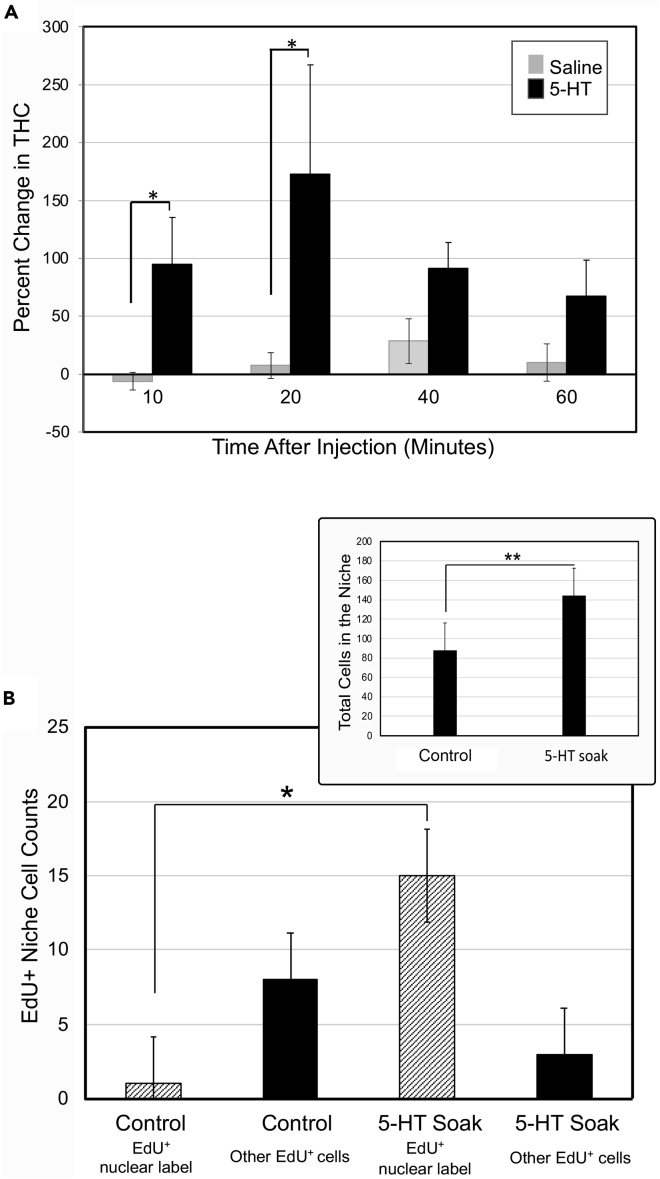 Figure 7