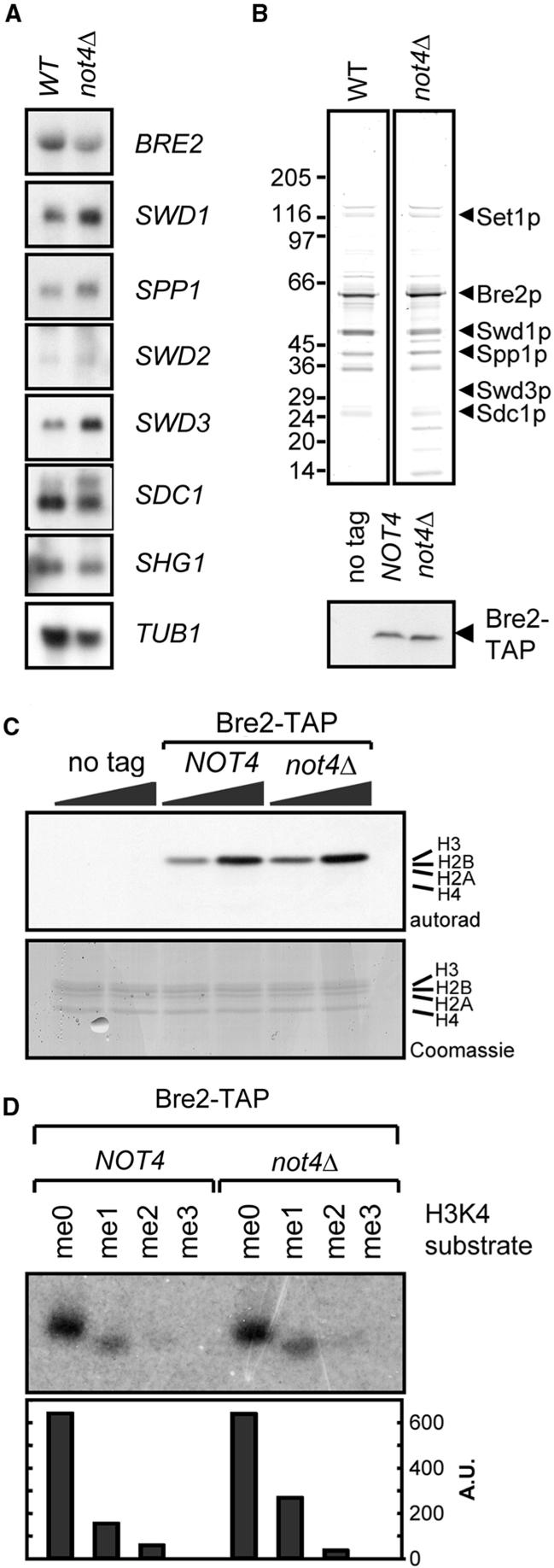 Figure 5.