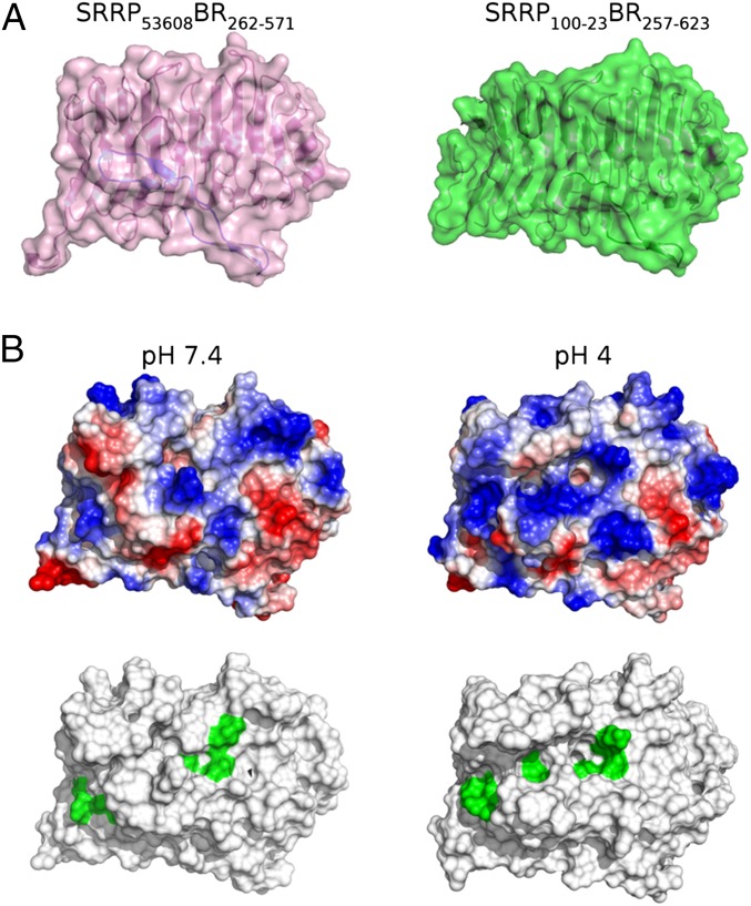 Fig. 4.