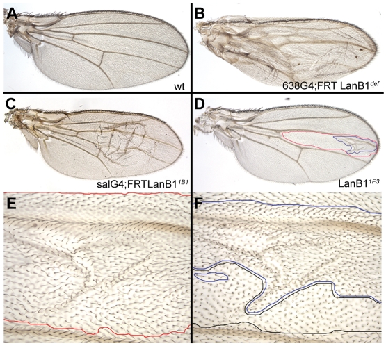 Fig. 9.