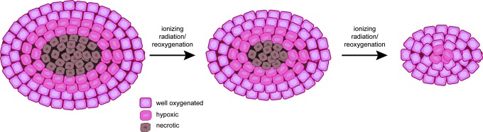 FIG. 8.