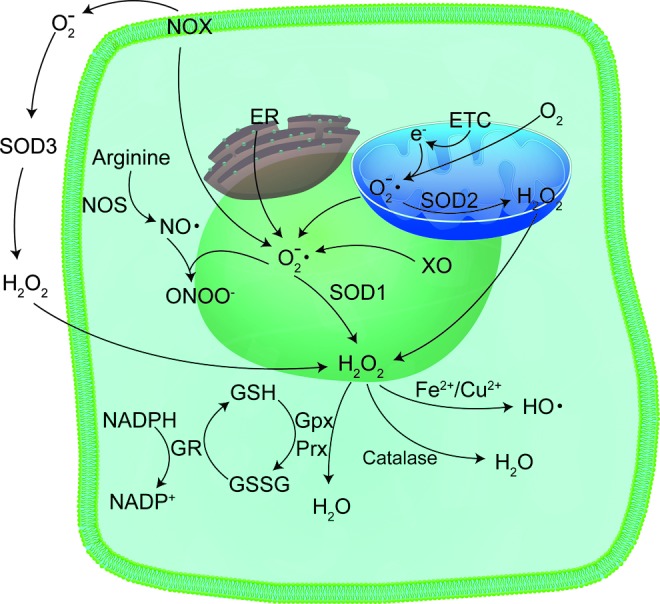 FIG. 9.