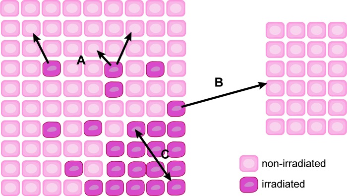 FIG. 6.