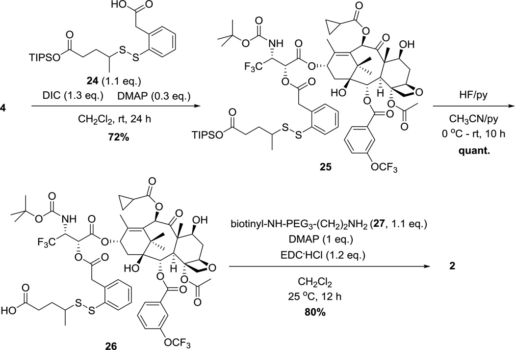 Scheme 5