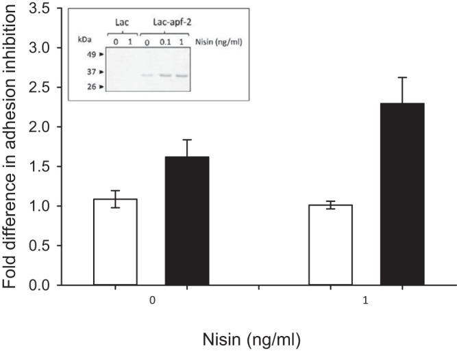 FIG 4