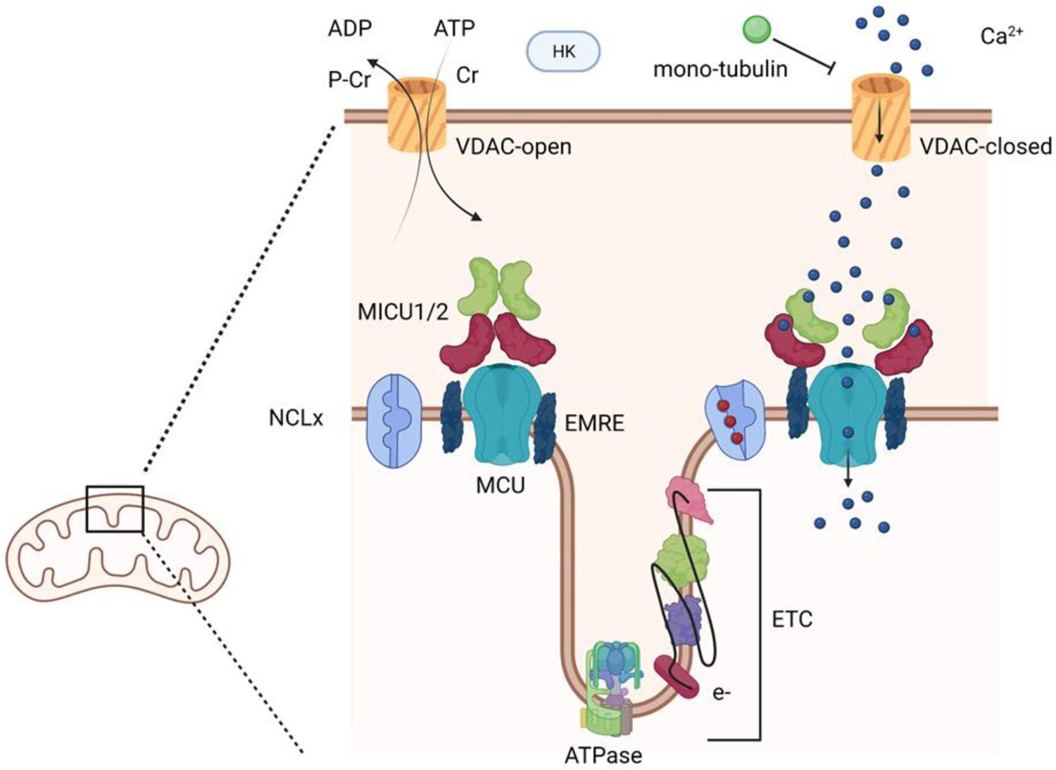 Figure 2: