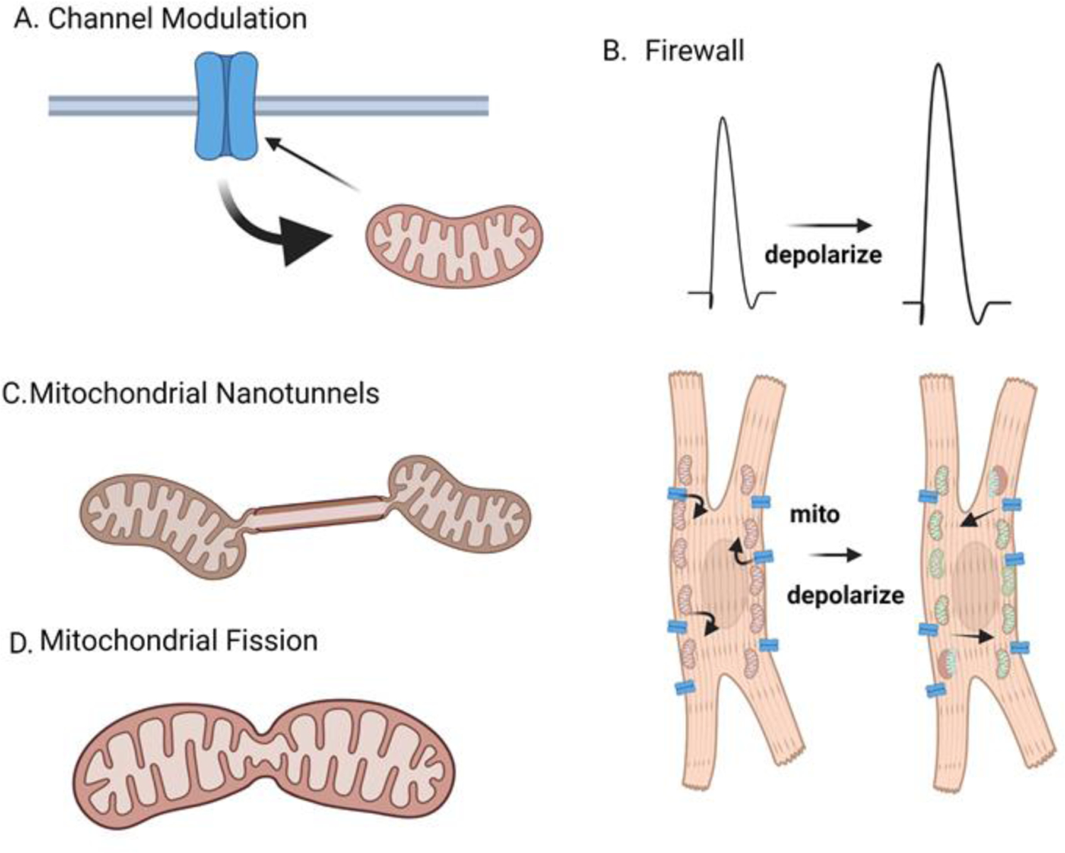 Figure 1: