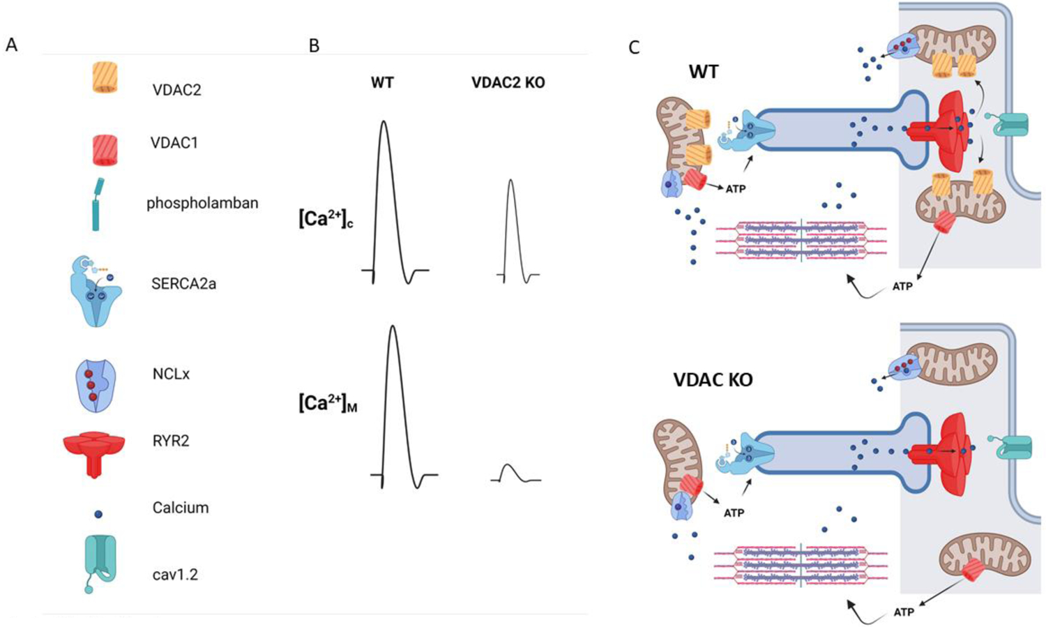 Figure 3: