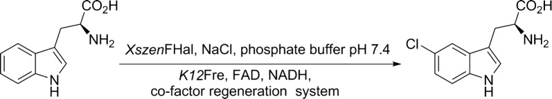 Scheme 1