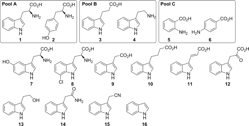 Fig. 1