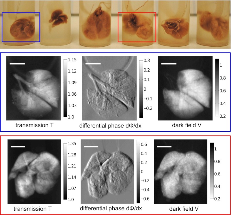 Fig. 2.