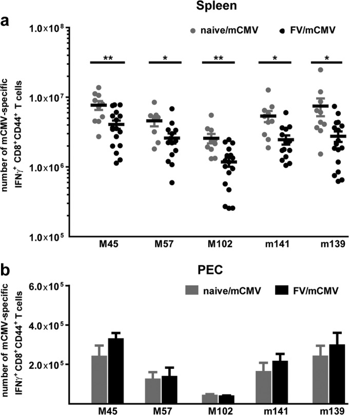 FIG 2