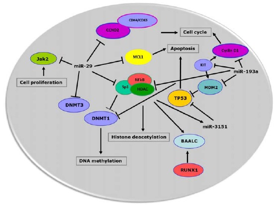 Fig. (1)