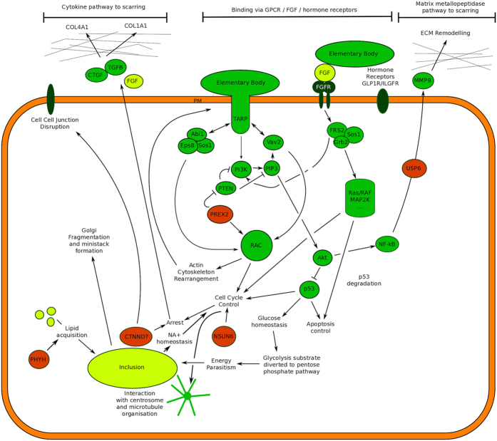 Figure 5