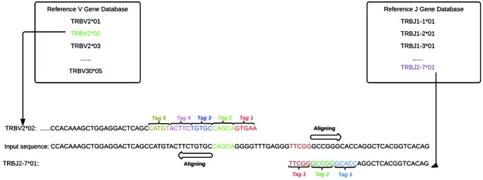 Figure 2.