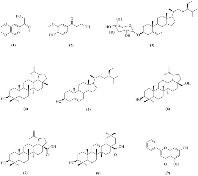 FIGURE 1